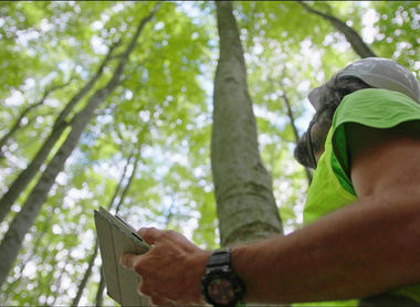 Man looking up at trees - Climate Campaign Only.jpg