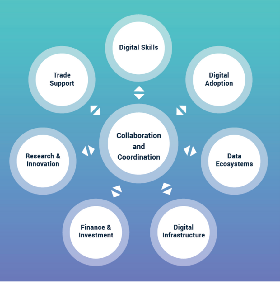 Local Digital Capital Diagram